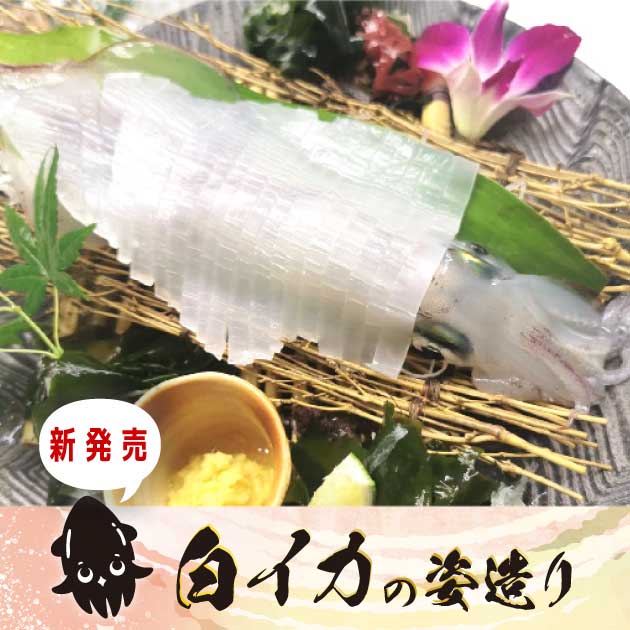 【新発売】京都 榮元 海工房の 白イカの姿造り