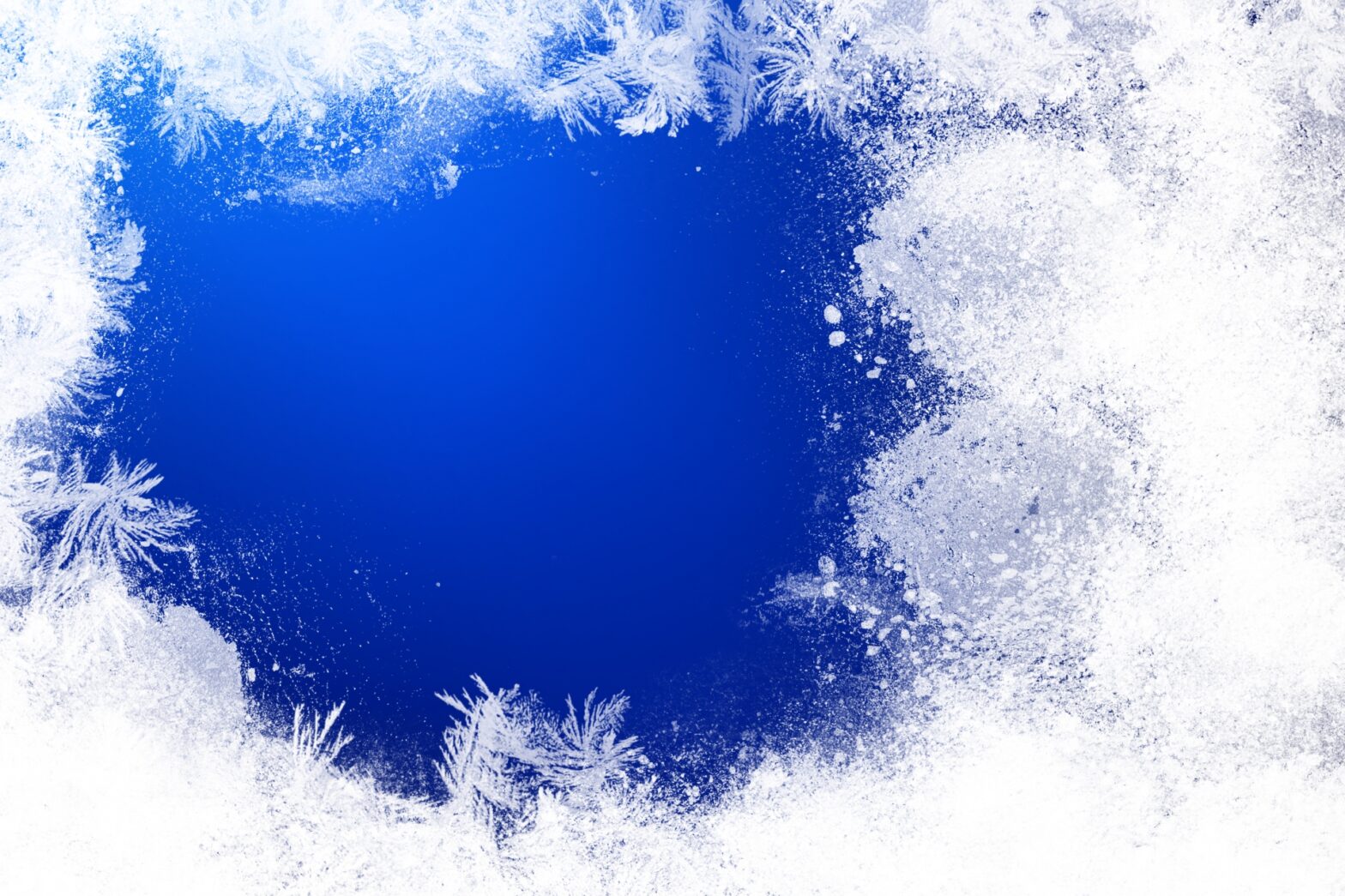 カンジャンケジャンで食中毒？急速冷凍の真実と安全に楽しむ方法