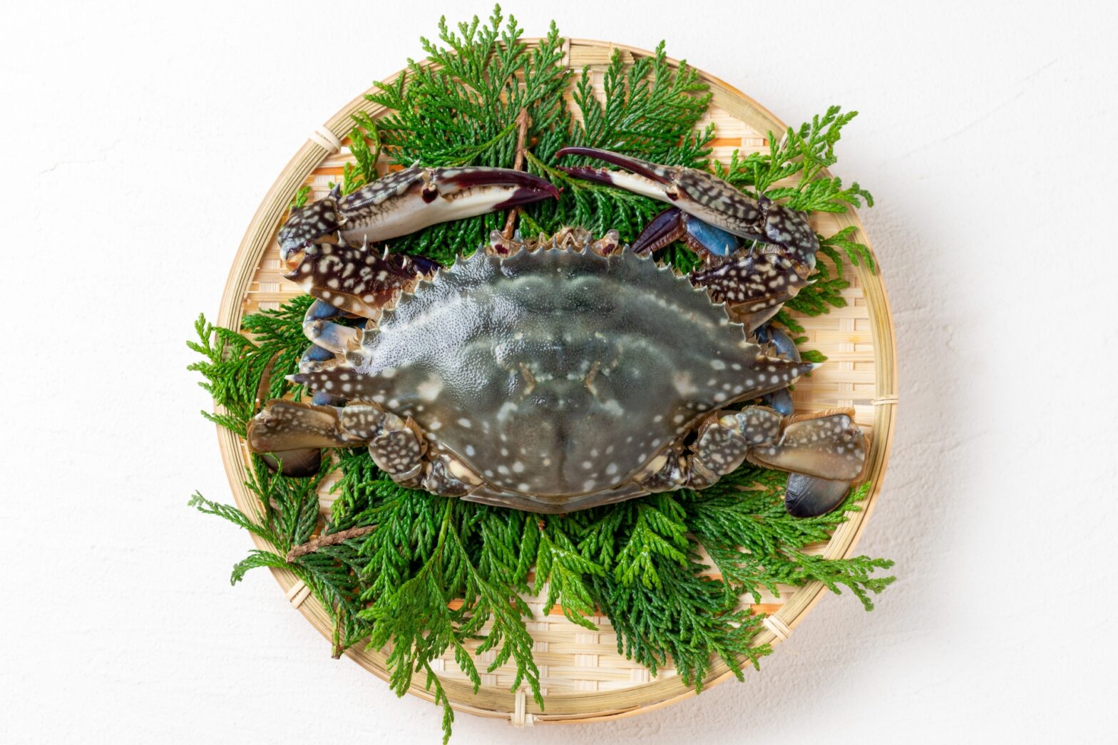 カンジャンケジャンに使うカニの種類は？ワタリガニ？アブラガニ？味の違いと選び方を徹底解説！