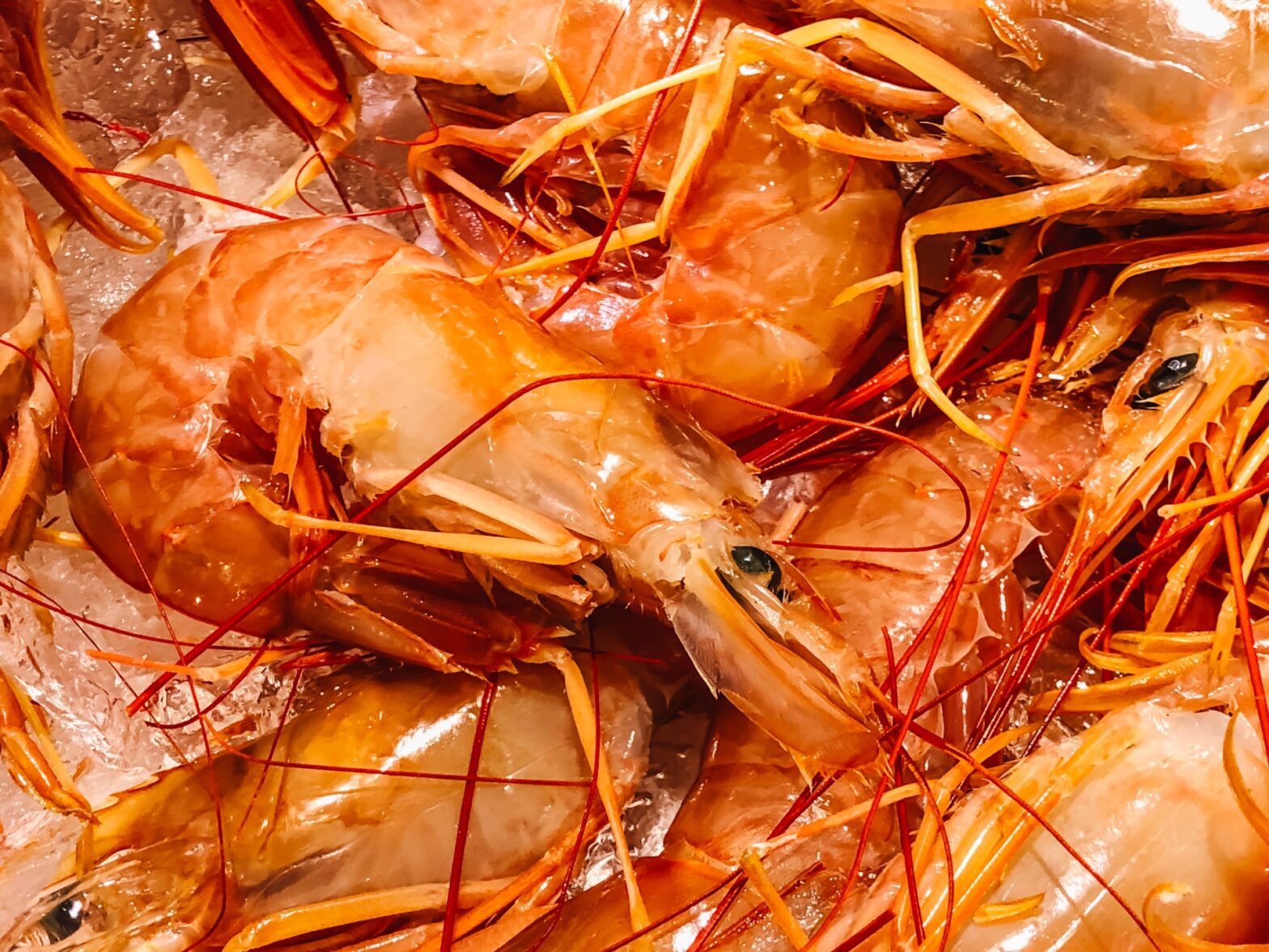 【完全版】赤エビで絶品カンジャンセウ！失敗しない作り方から通販まで徹底解説