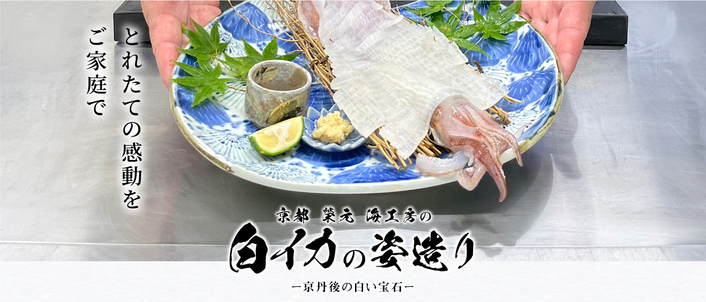 白イカ姿造り