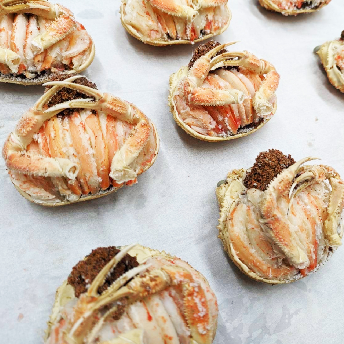 【プレミアムサイズ】セコガニの甲羅盛り 5個入りの画像12