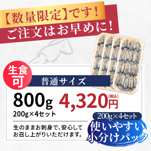 【2026年新物】お刺身ホタルイカの画像16