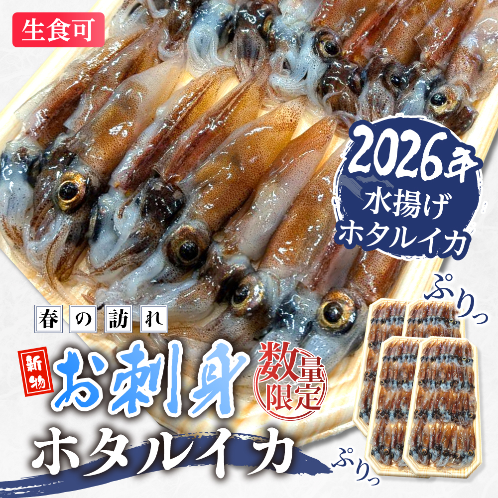 【2026年新物】お刺身ホタルイカの画像1