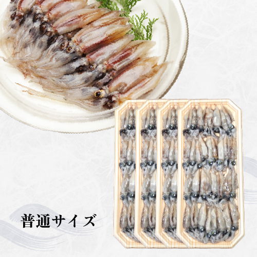 【2026年新物】お刺身ホタルイカの画像17