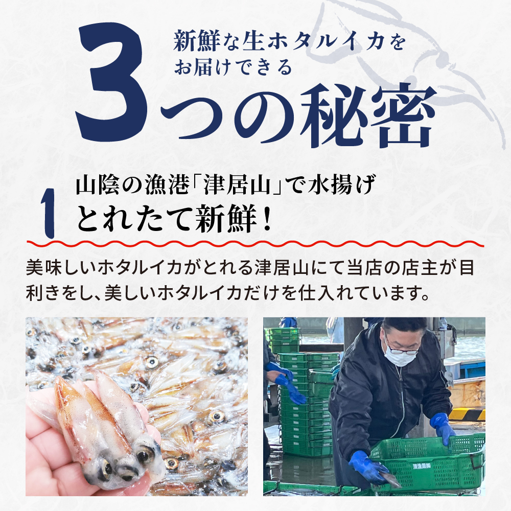 【2026年新物】お刺身ホタルイカの画像7