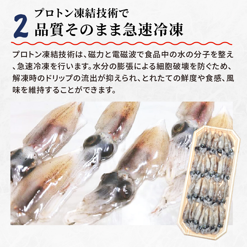 【2026年新物】お刺身ホタルイカの画像8