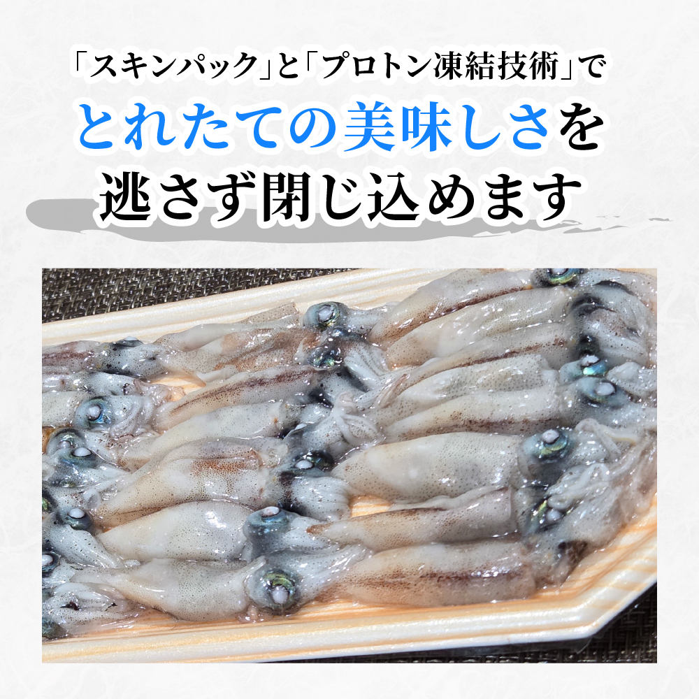【2026年新物】お刺身ホタルイカの画像10