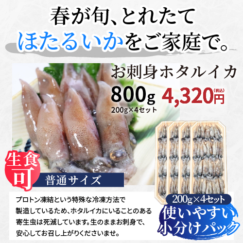 【2026年新物】お刺身ホタルイカの画像4