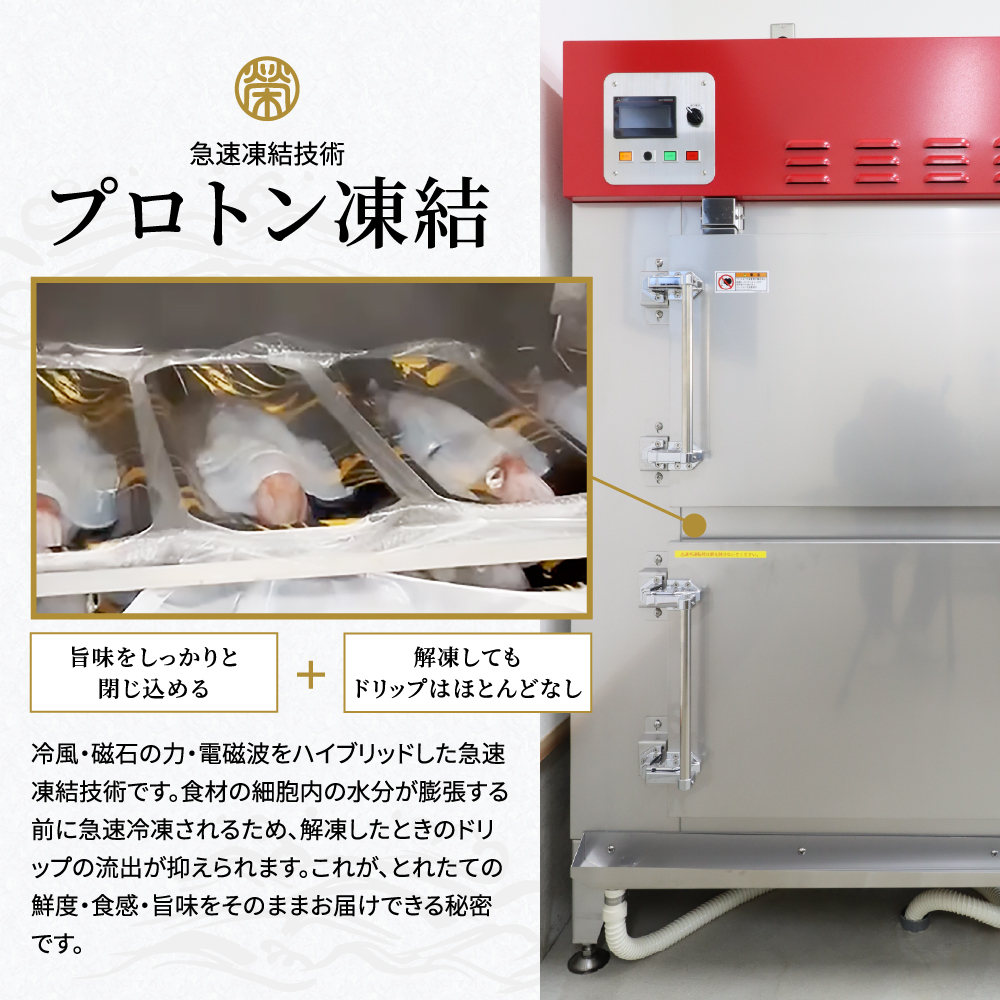 白イカの姿造り Sサイズの画像15