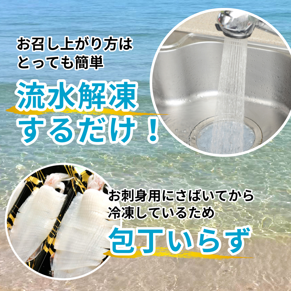 白イカの姿造り Sサイズの画像16