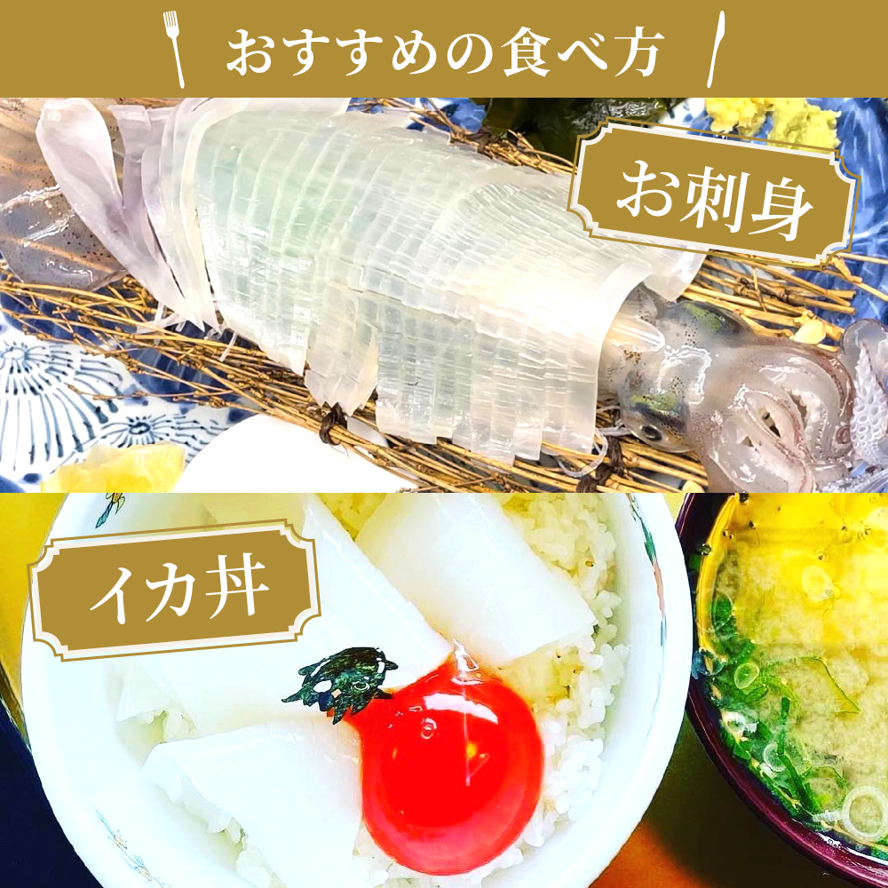 白イカの姿造り Sサイズの画像18