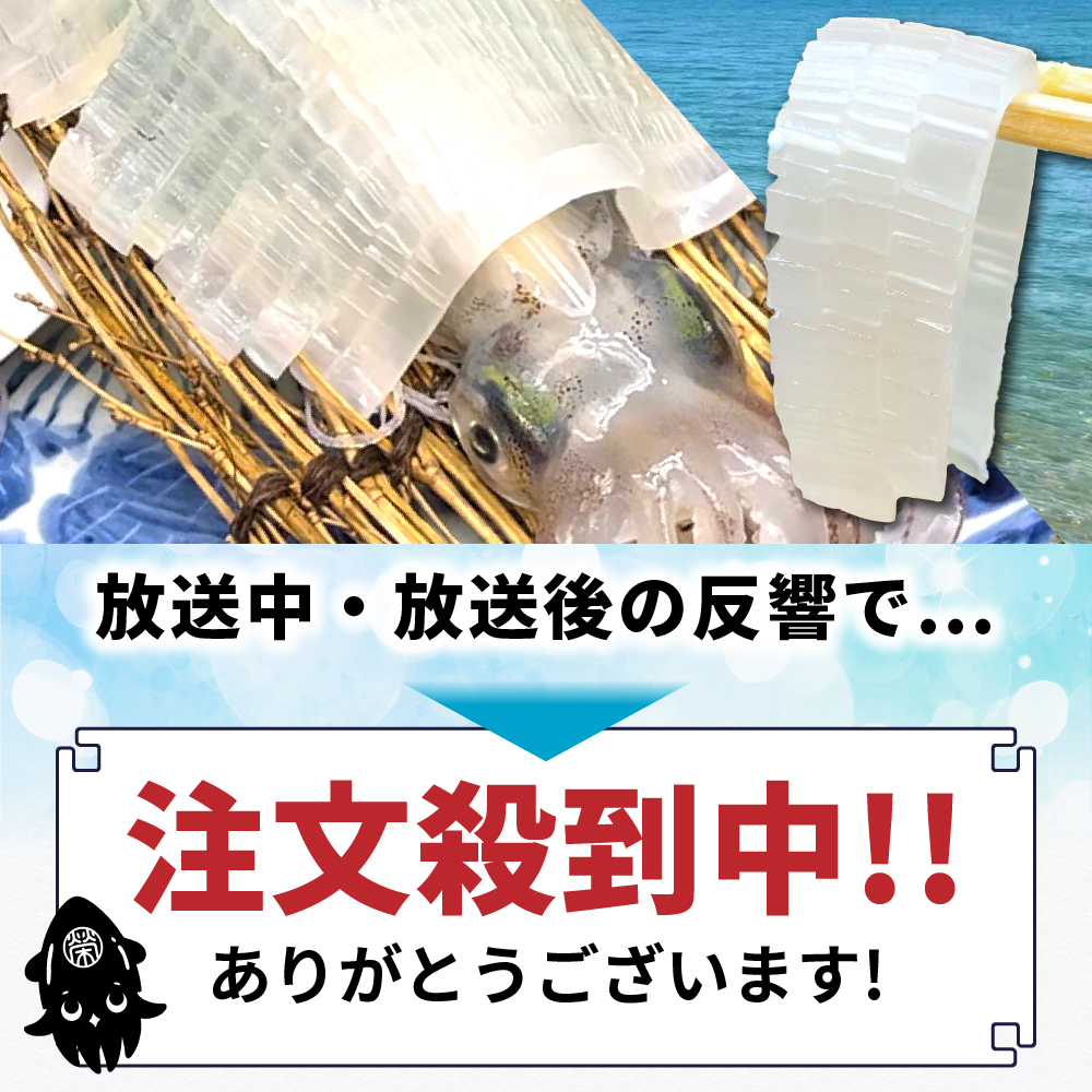 白イカの姿造り Sサイズの画像5