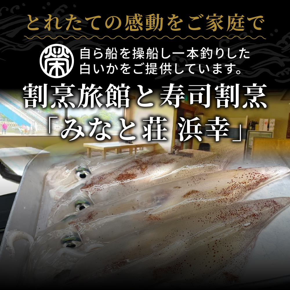白イカの姿造り Sサイズの画像6