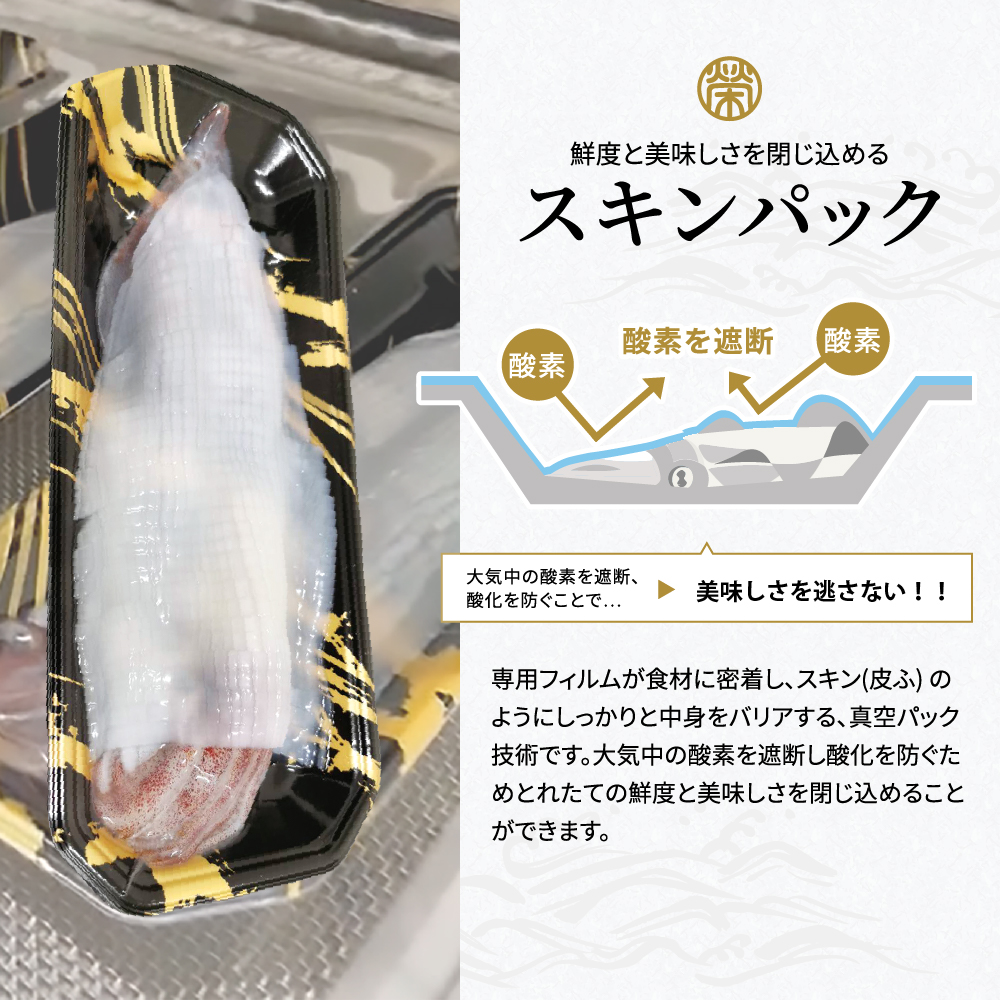 白イカの姿造り Lサイズの画像14